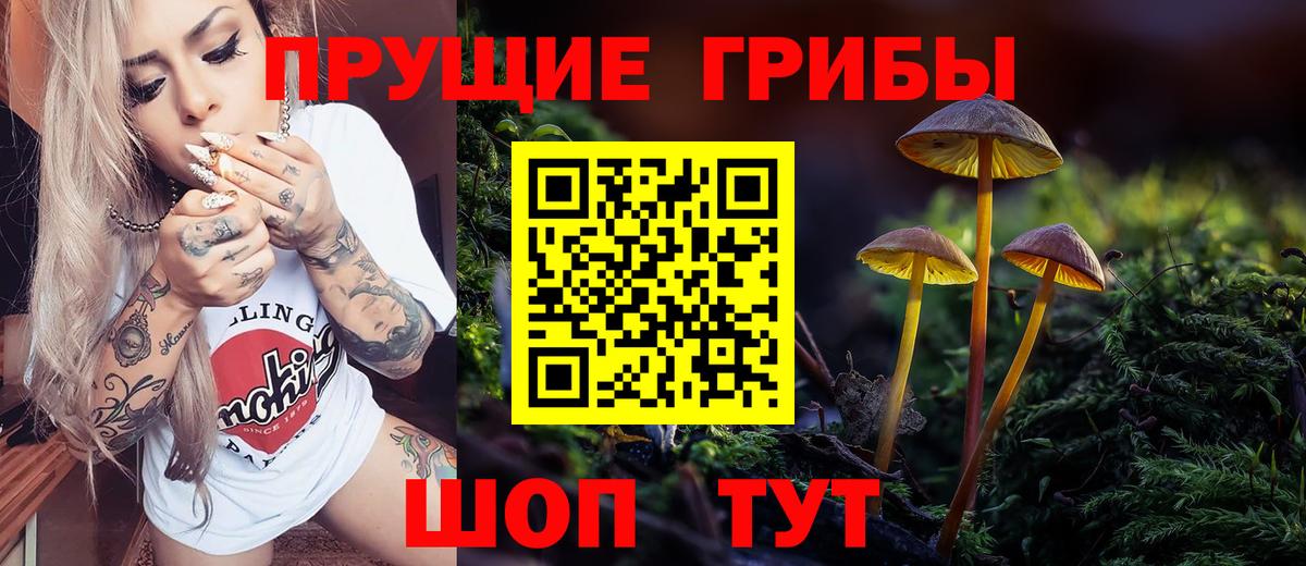 Псилоцибиновые грибы MAGIC MUSHROOMS Баксан