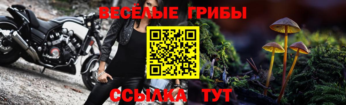 Псилоцибиновые грибы прущие грибы  Вход с VPN  Баксан 